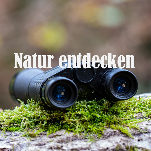 Natur entdecken